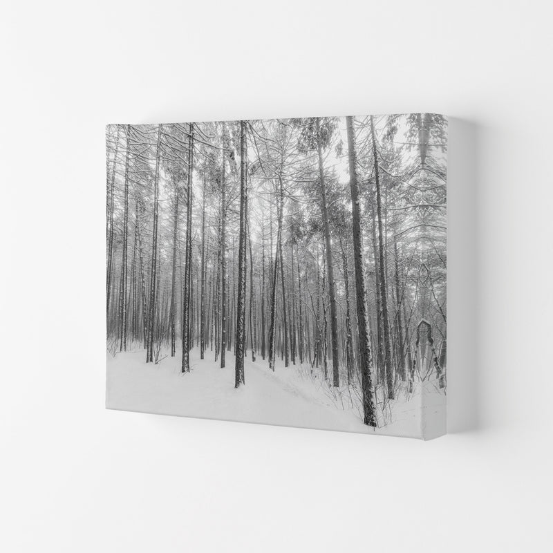 Let it snow forest Art Print by Seven Trees Design Canvas