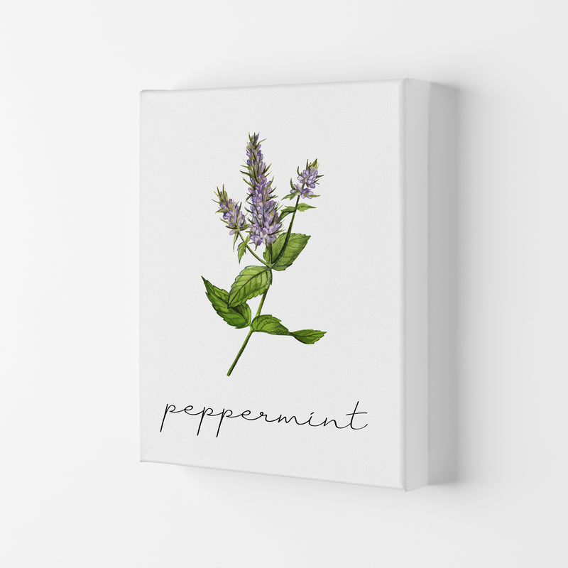 peppermint Art Print by Seven Trees Design Canvas