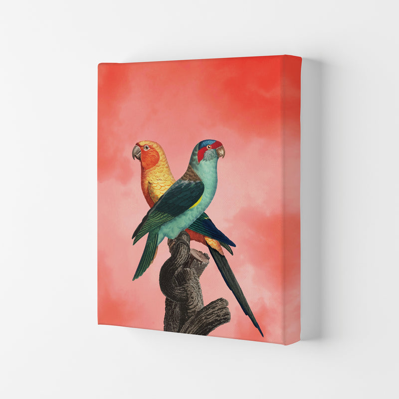 The Birds and the pink sky I Art Print by Seven Trees Design Canvas