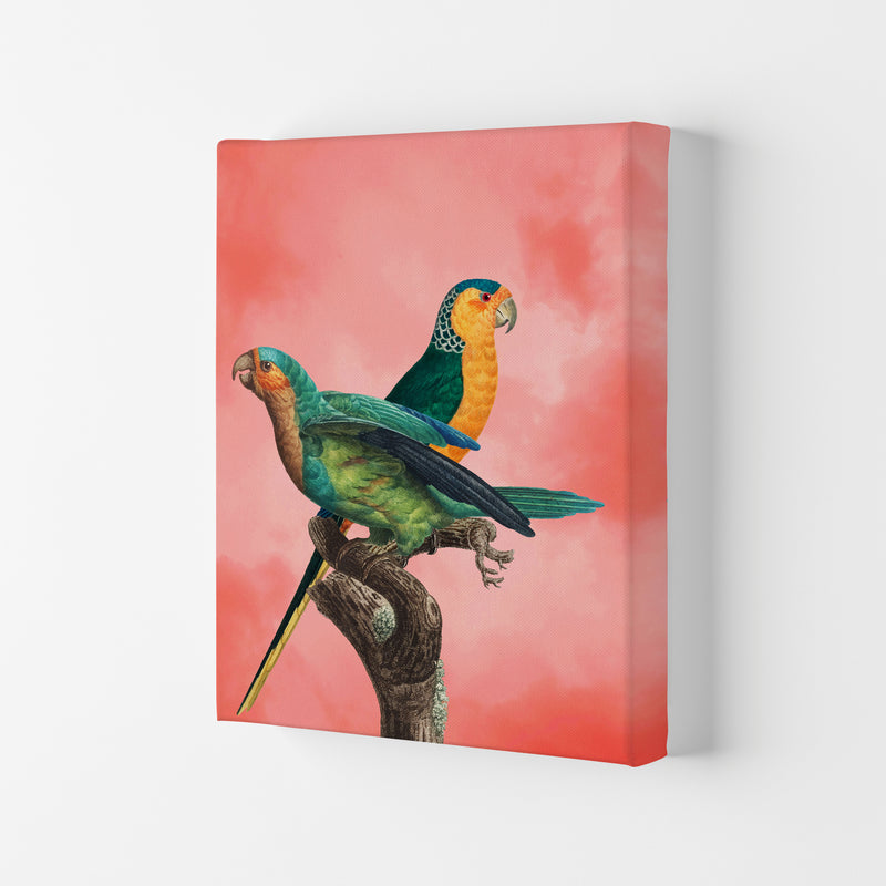 The Birds and the pink sky II Art Print by Seven Trees Design Canvas