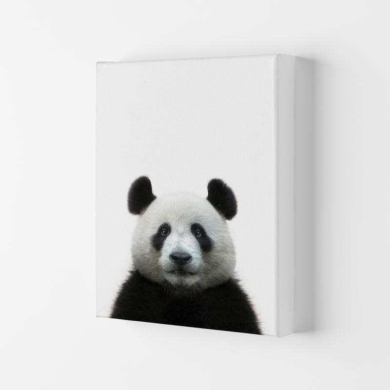 The Panda Art Print by Seven Trees Design Canvas