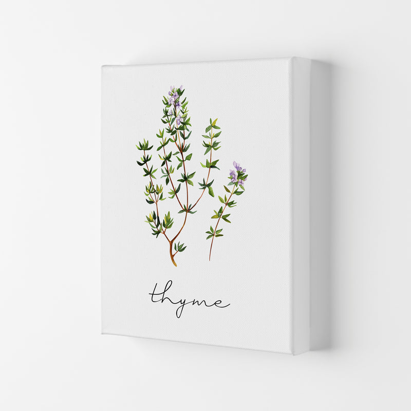 Thyme Art Print by Seven Trees Design Canvas