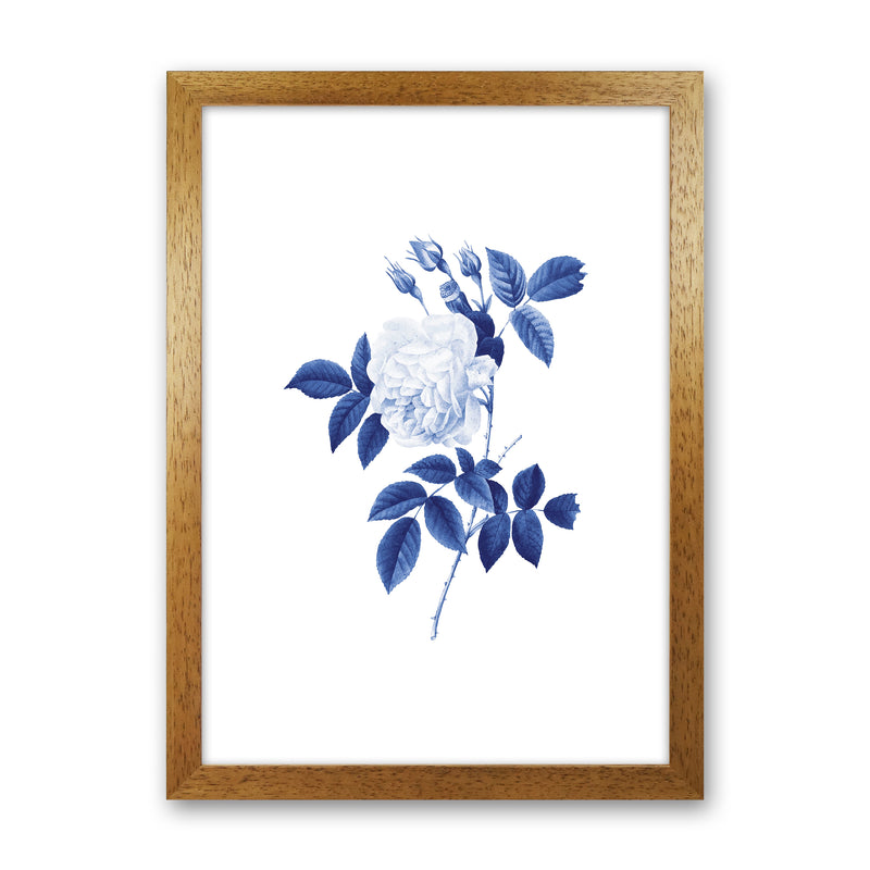 Blue botanic II Art Print by Seven Trees Design Oak Grain