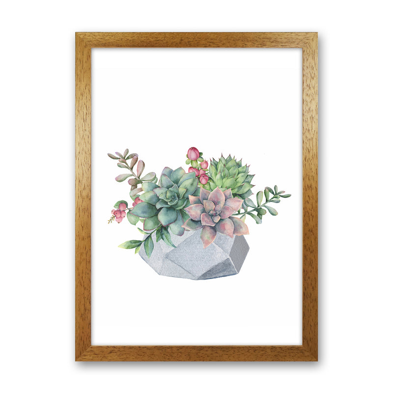 The Watercolor Succulents Art Print by Seven Trees Design Oak Grain