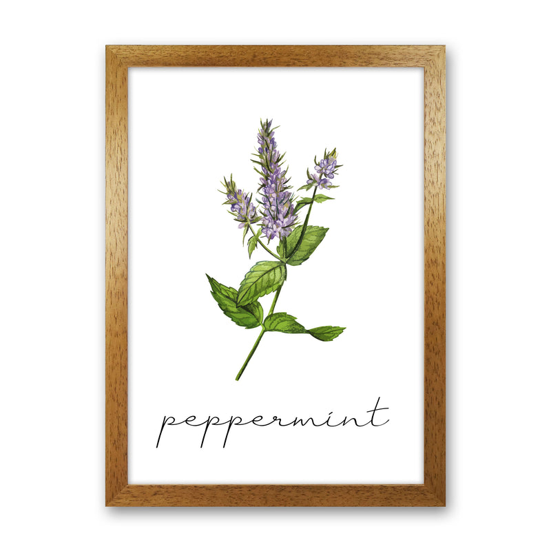peppermint Art Print by Seven Trees Design Oak Grain