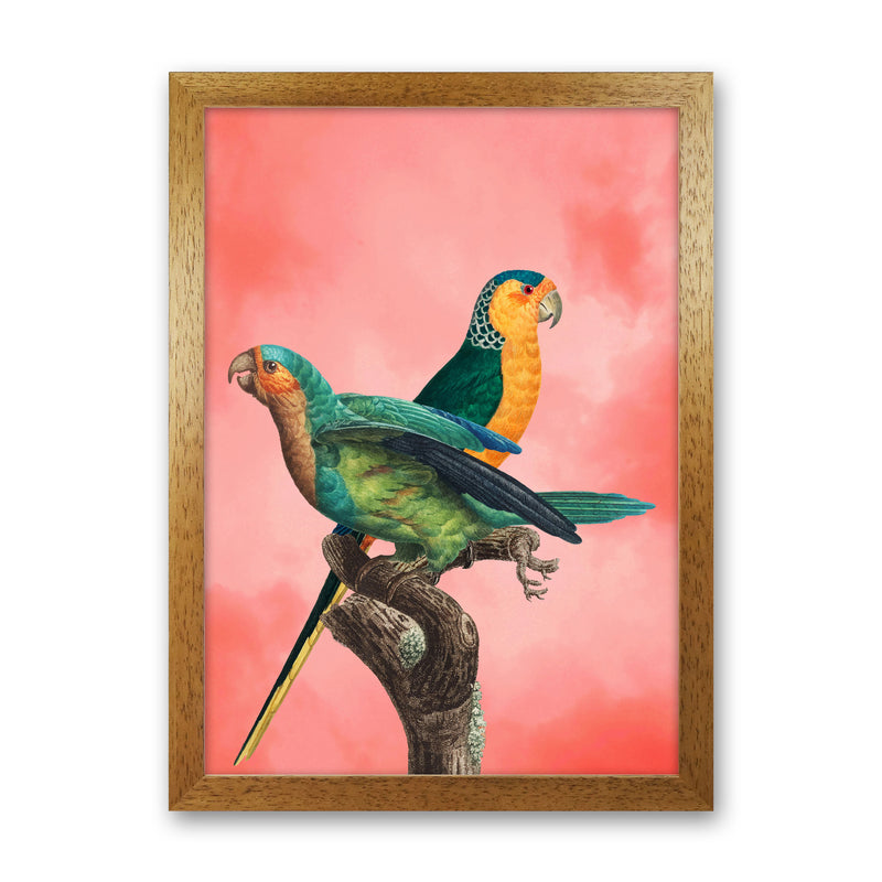 The Birds and the pink sky II Art Print by Seven Trees Design Oak Grain