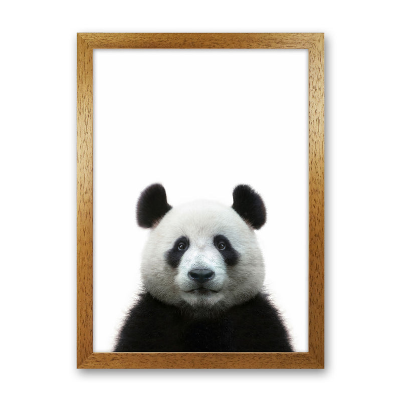 The Panda Art Print by Seven Trees Design Oak Grain