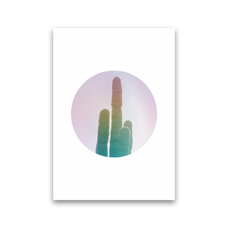 Circular Cacti Art Print by Seven Trees Design Print Only