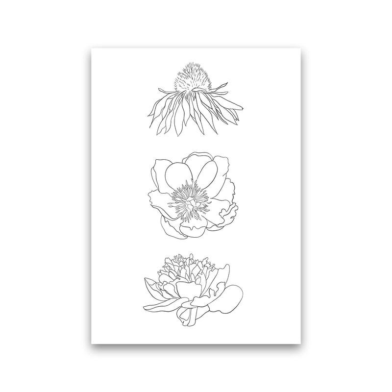Hand Drawn Flowers Art Print by Seven Trees Design Print Only