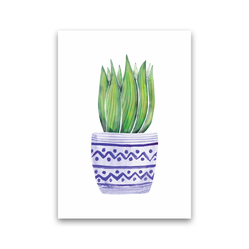 The Blue Succulent Art Print by Seven Trees Design Print Only