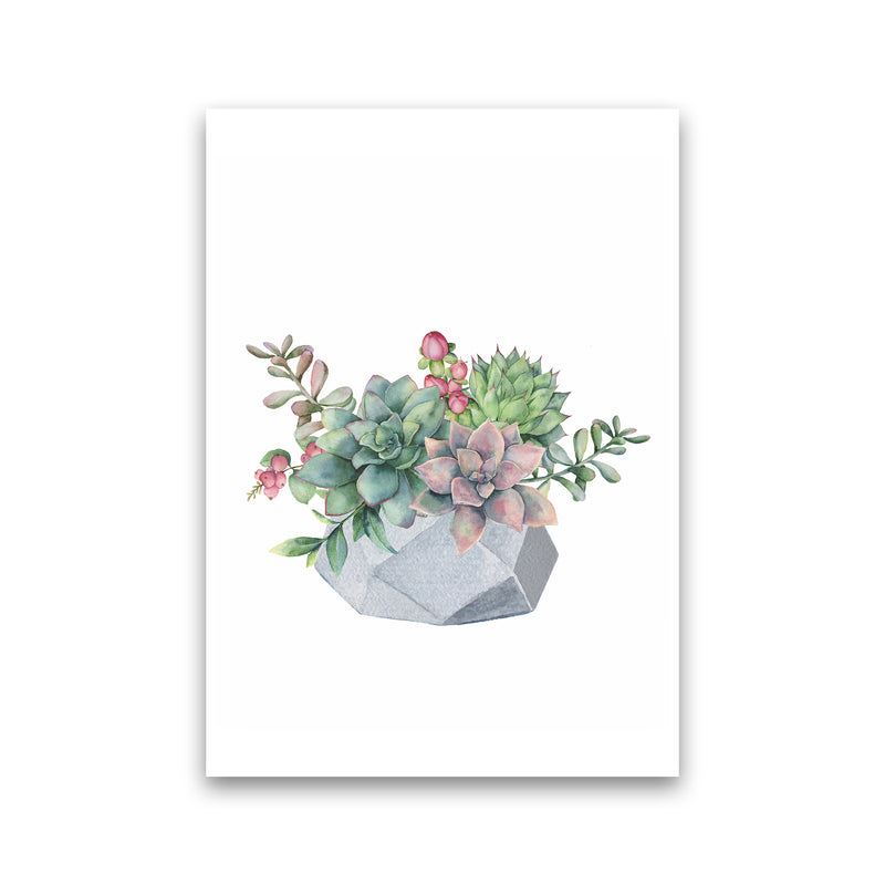 The Watercolor Succulents Art Print by Seven Trees Design Print Only
