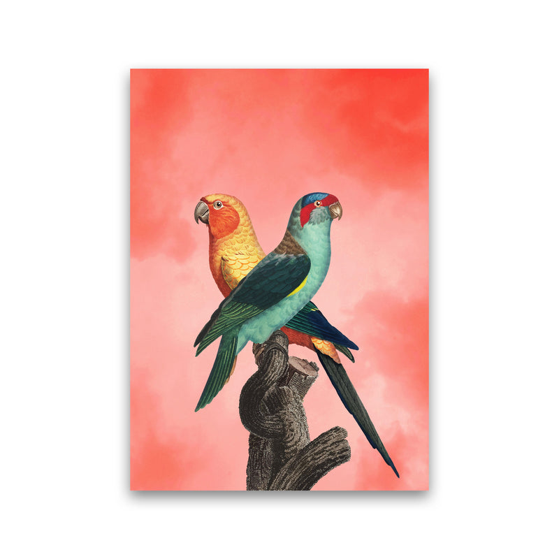 The Birds and the pink sky I Art Print by Seven Trees Design Print Only