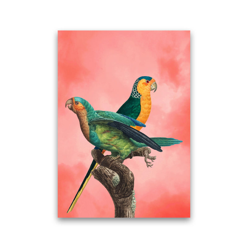 The Birds and the pink sky II Art Print by Seven Trees Design Print Only