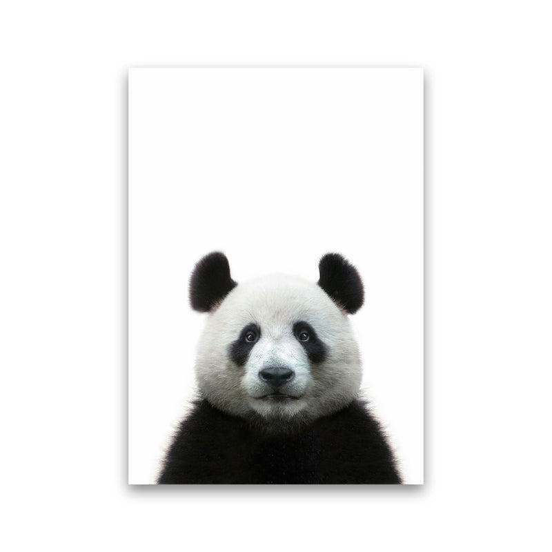 The Panda Art Print by Seven Trees Design Print Only