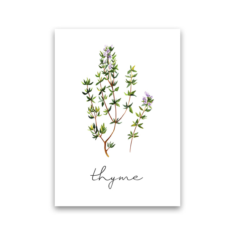 Thyme Art Print by Seven Trees Design Print Only