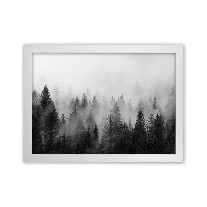 B&W Forest Photography Art Print by Seven Trees Design White Grain