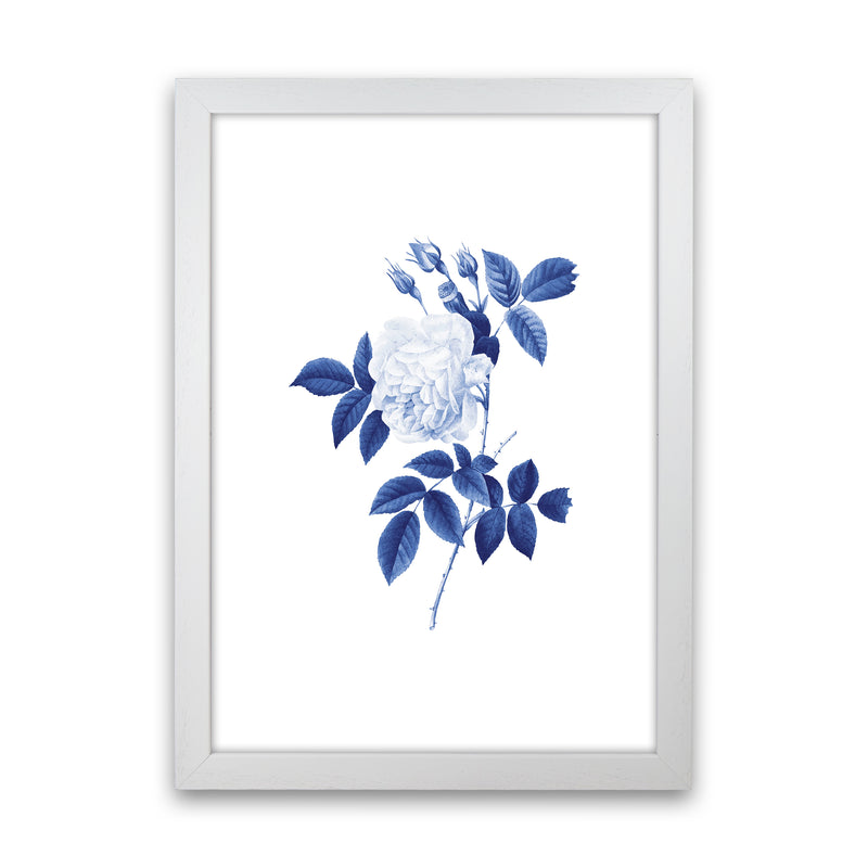 Blue botanic II Art Print by Seven Trees Design White Grain