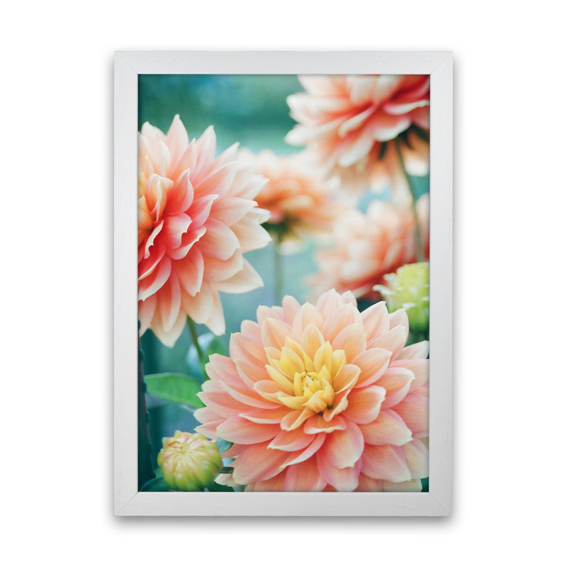 Happy Flowers Photography Art Print by Seven Trees Design White Grain