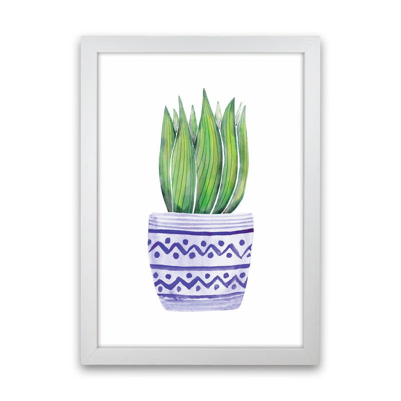 The Blue Succulent Art Print by Seven Trees Design White Grain