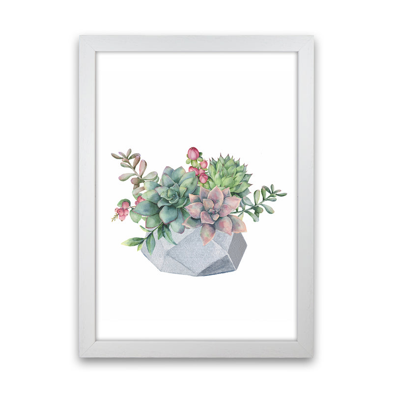 The Watercolor Succulents Art Print by Seven Trees Design White Grain
