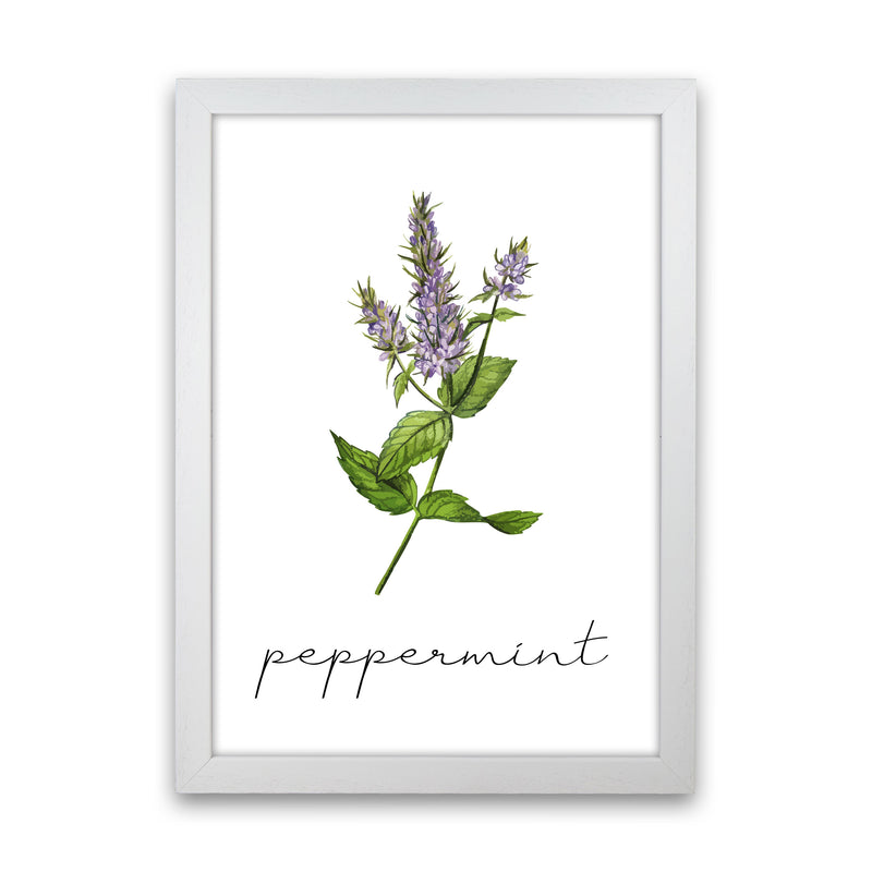 peppermint Art Print by Seven Trees Design White Grain