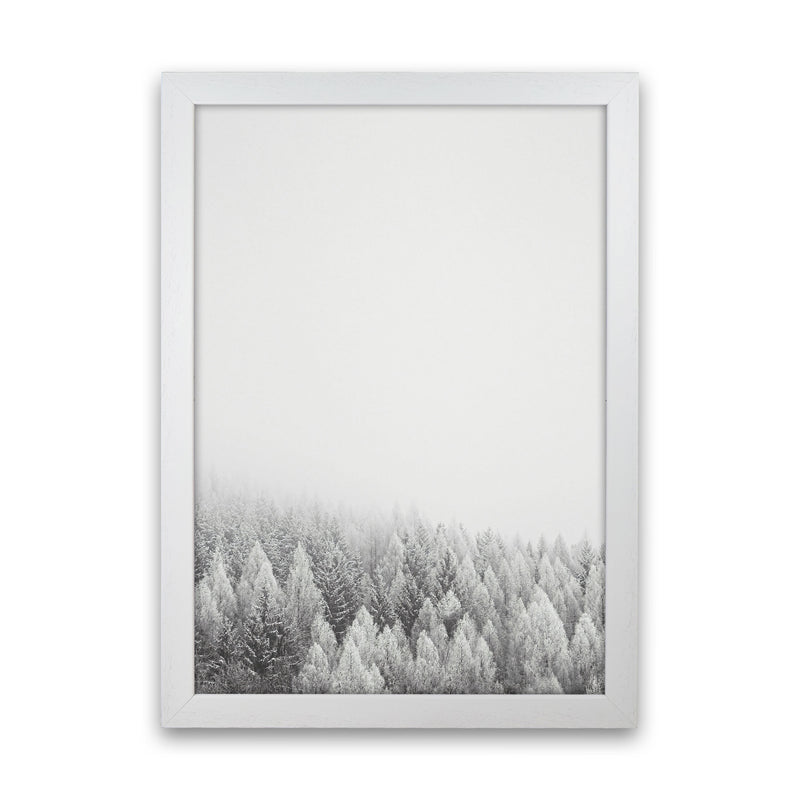 The White Forest Art Print by Seven Trees Design White Grain