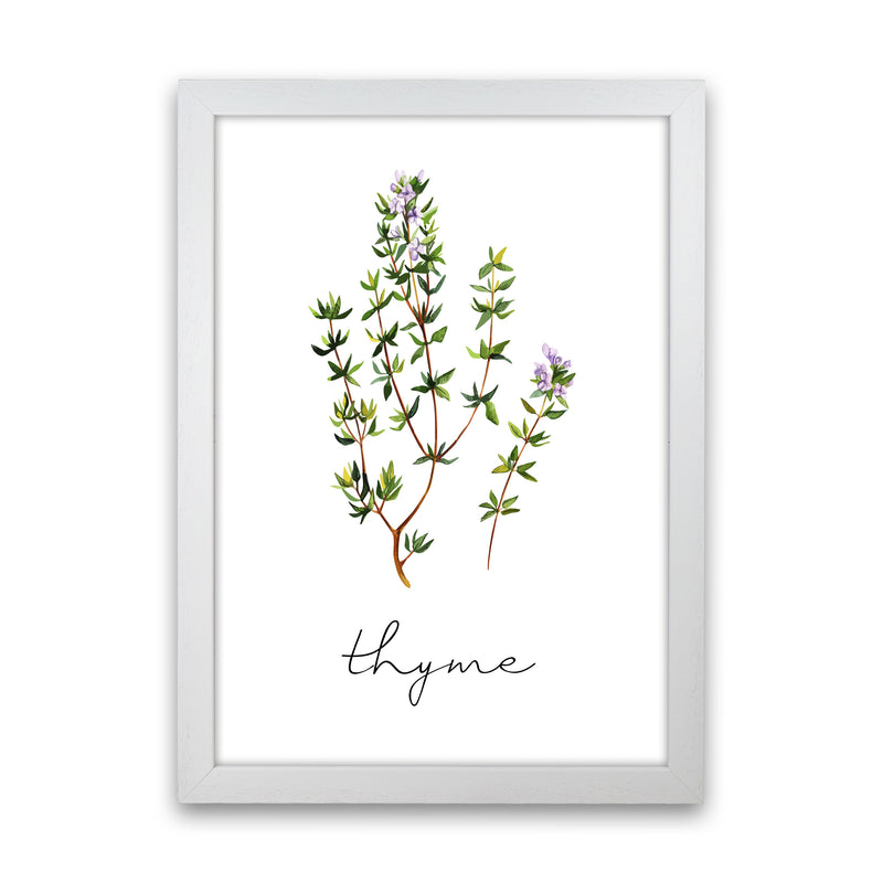 Thyme Art Print by Seven Trees Design White Grain