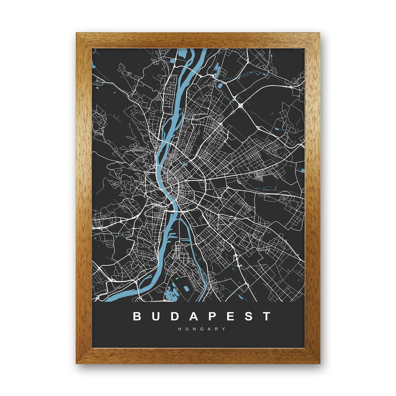 Budapest Art Print by UrbanMaps Oak Grain