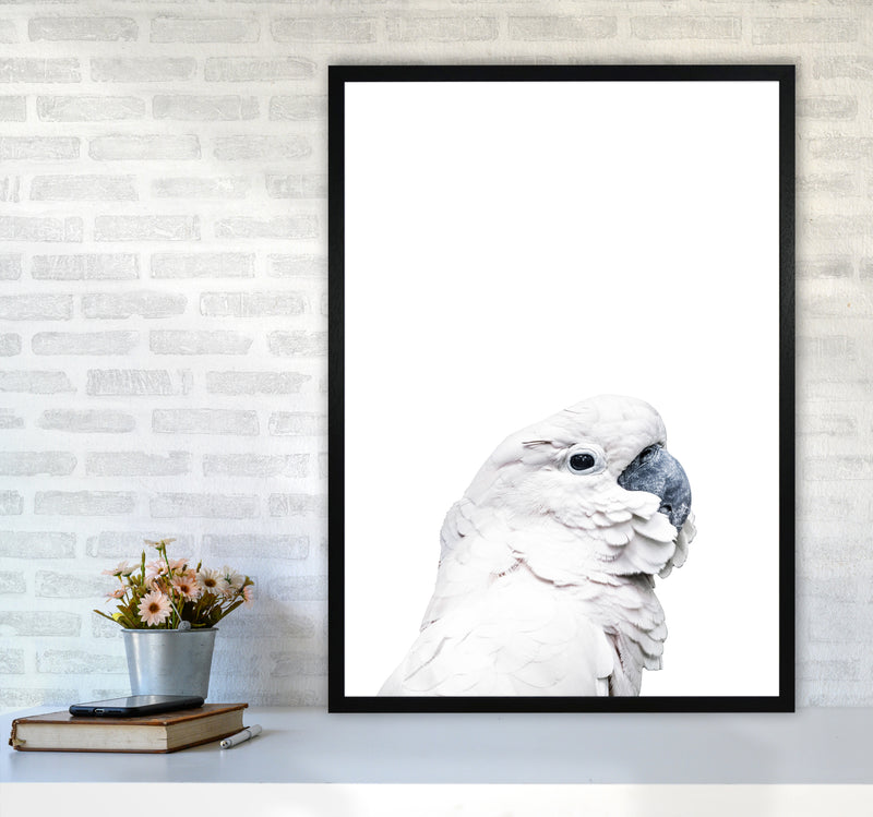 White Cockatoo Photography Print by Victoria Frost A1 White Frame