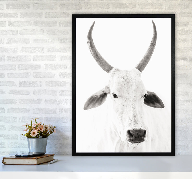 White Cow I Photography Print by Victoria Frost A1 White Frame