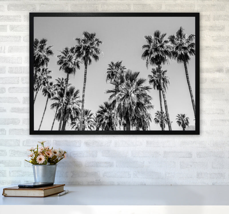 Sabal palmetto I Palm Trees Photography Print by Victoria Frost A1 White Frame