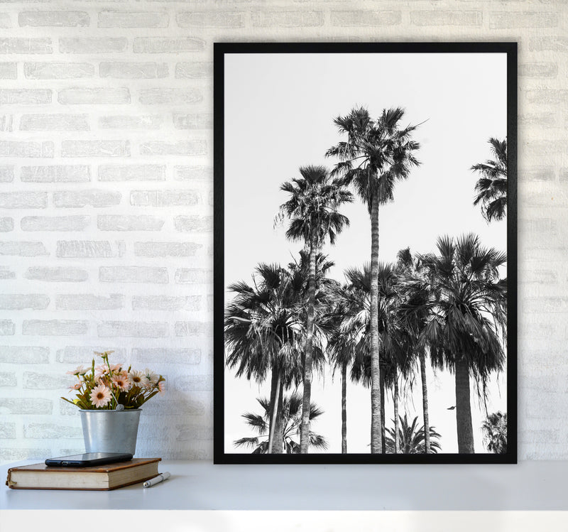 Sabal palmetto II Palm trees Photography Print by Victoria Frost A1 White Frame