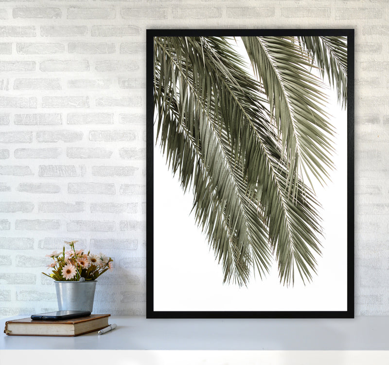 Palms Photography Print by Victoria Frost A1 White Frame