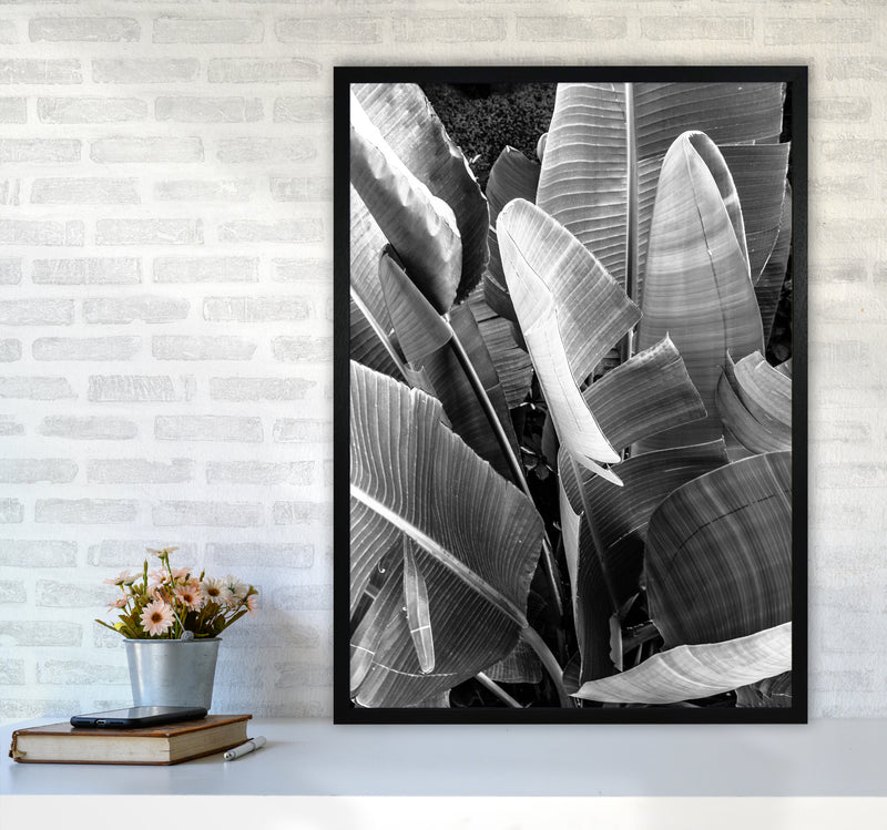 Palms Leafs Photography Print by Victoria Frost A1 White Frame