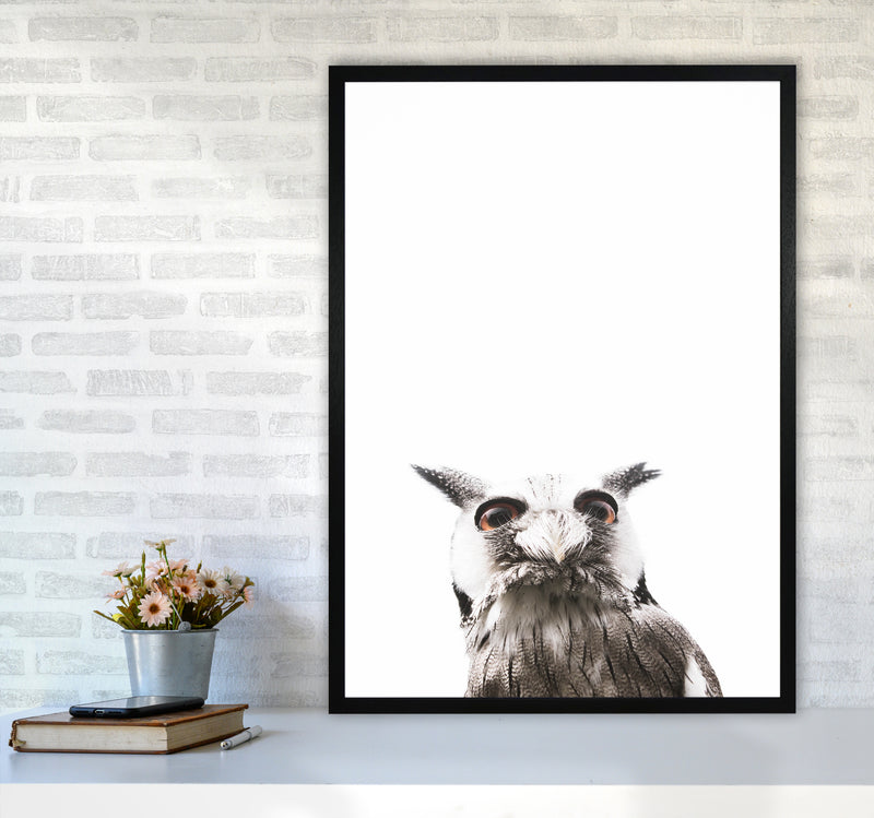 Lil Owl Photography Print by Victoria Frost A1 White Frame