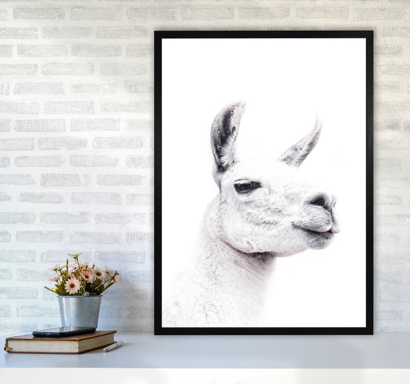 Llama I Photography Print by Victoria Frost A1 White Frame