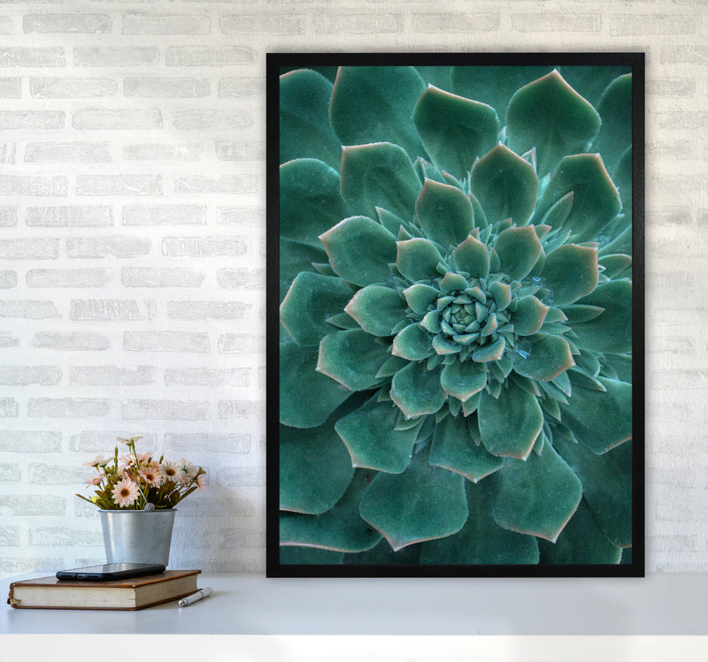 Green Succulent Plant Photography Print by Victoria Frost A1 White Frame