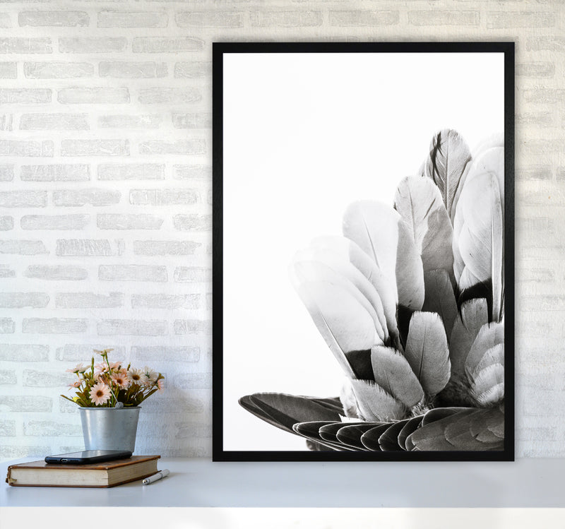 Feathers Photography Print by Victoria Frost A1 White Frame