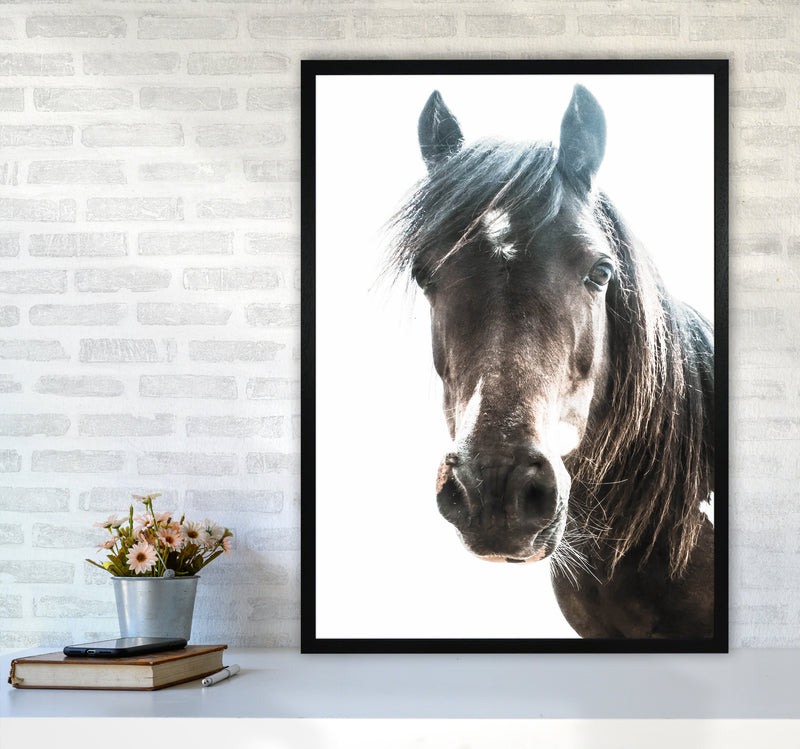 Brown Horse Photography Print by Victoria Frost A1 White Frame