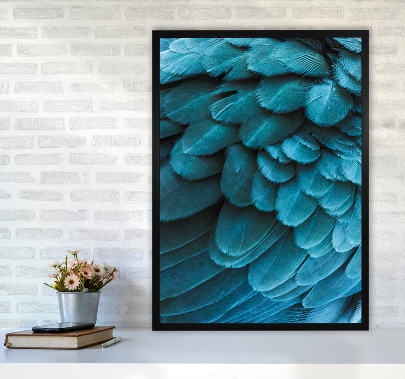 Blue Feathers Photography Print by Victoria Frost A1 White Frame