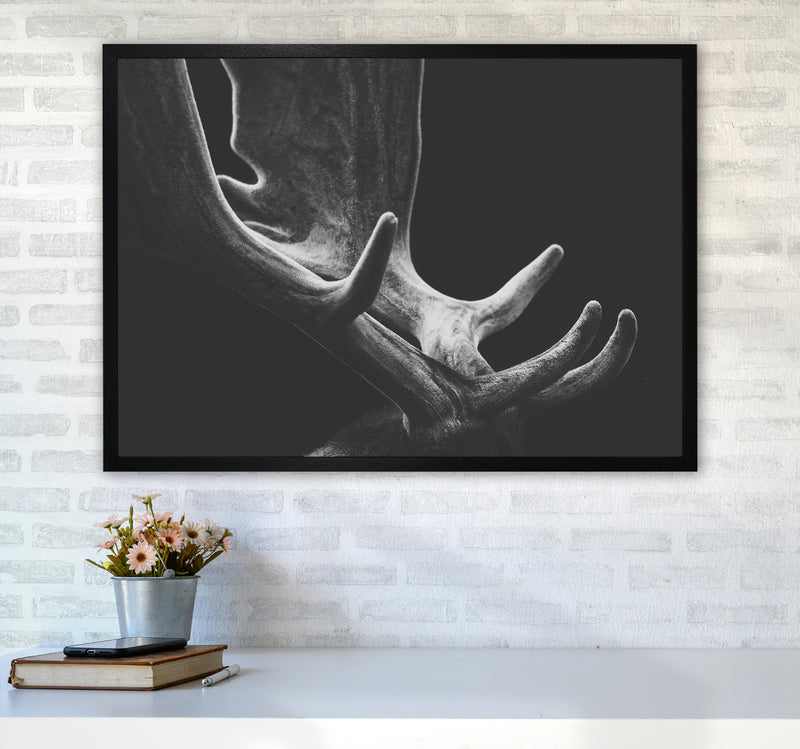 Antlers Photography Print by Victoria Frost A1 White Frame
