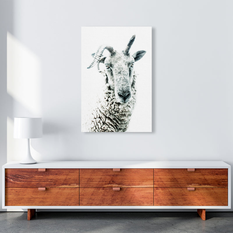 Sheep Photography Print by Victoria Frost A1 Canvas