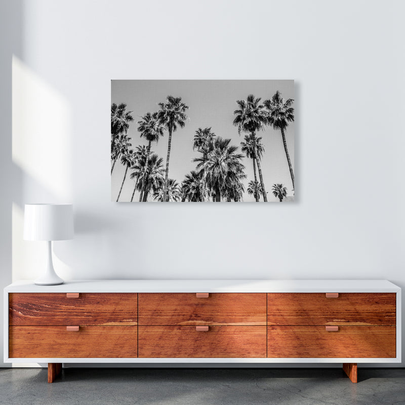 Sabal palmetto I Palm Trees Photography Print by Victoria Frost A1 Canvas