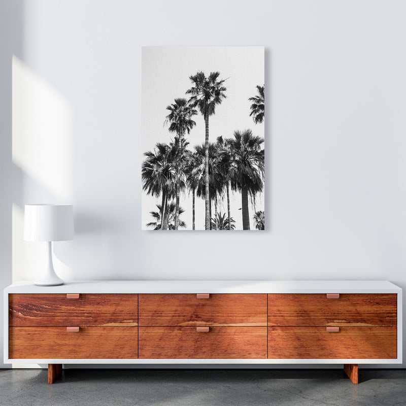 Sabal palmetto II Palm trees Photography Print by Victoria Frost A1 Canvas