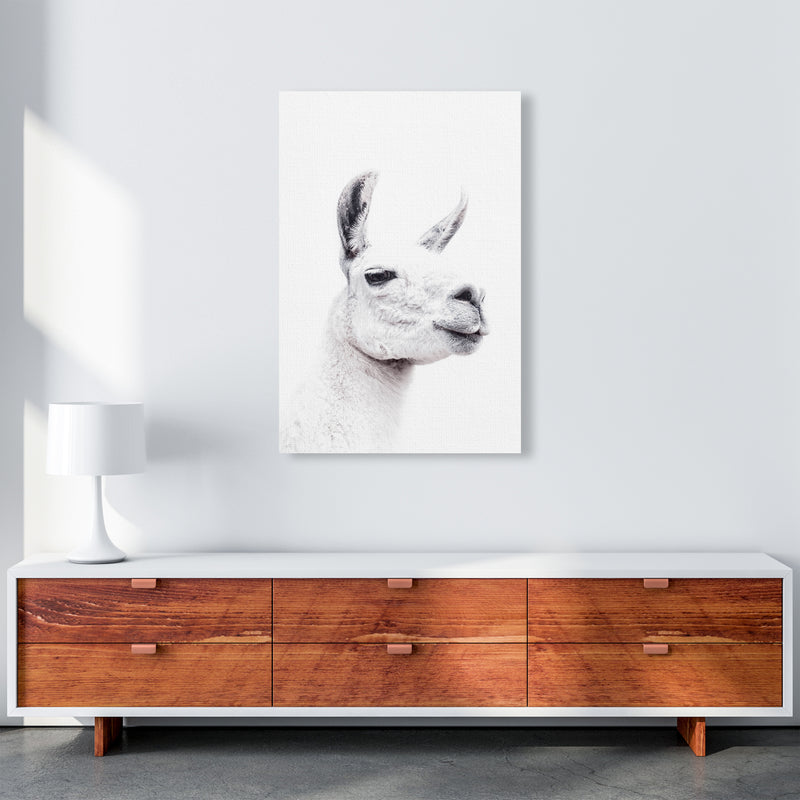 Llama I Photography Print by Victoria Frost A1 Canvas