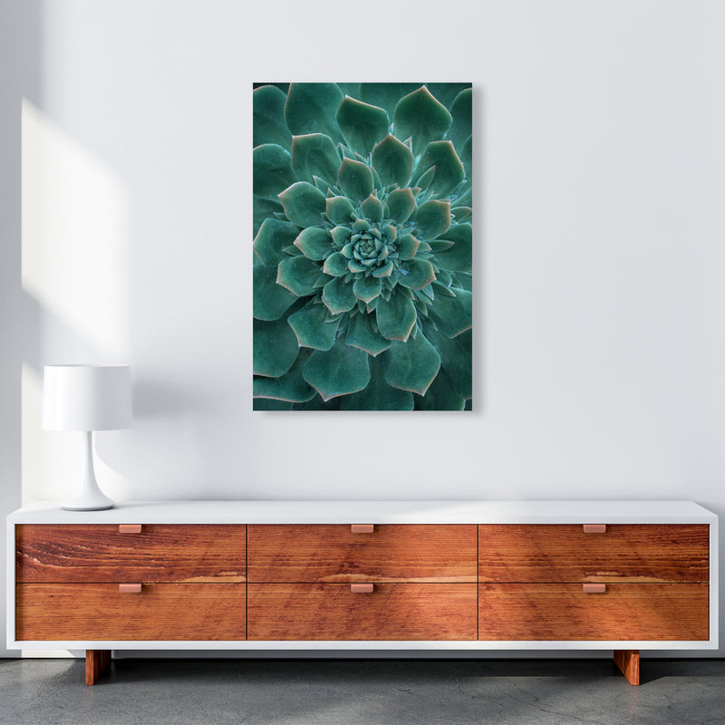 Green Succulent Plant Photography Print by Victoria Frost A1 Canvas