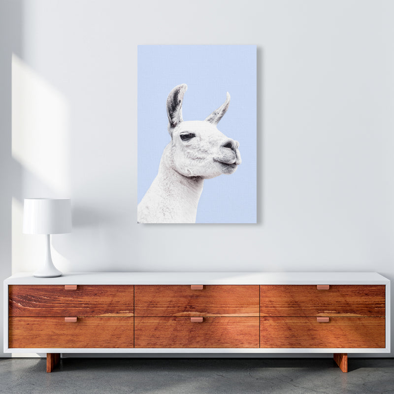 Blue Llama Photography Print by Victoria Frost A1 Canvas