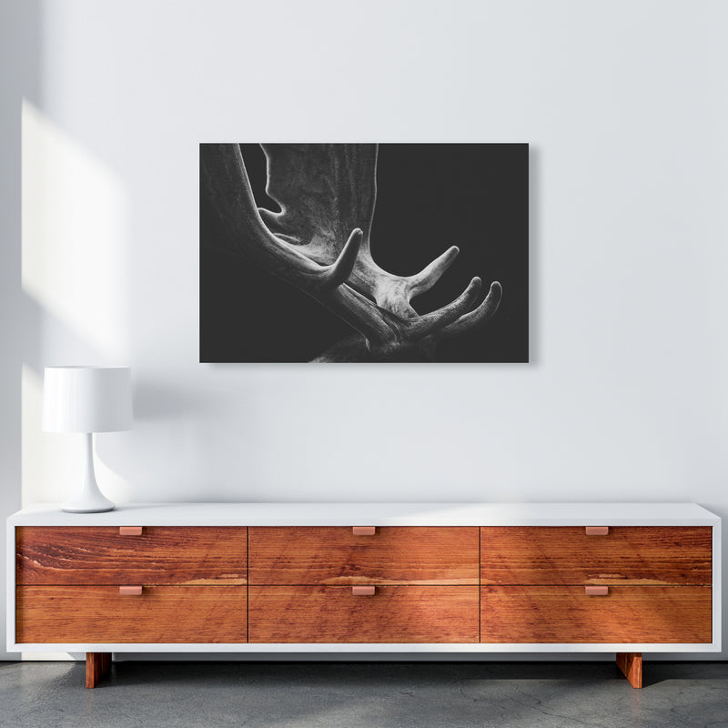 Antlers Photography Print by Victoria Frost A1 Canvas