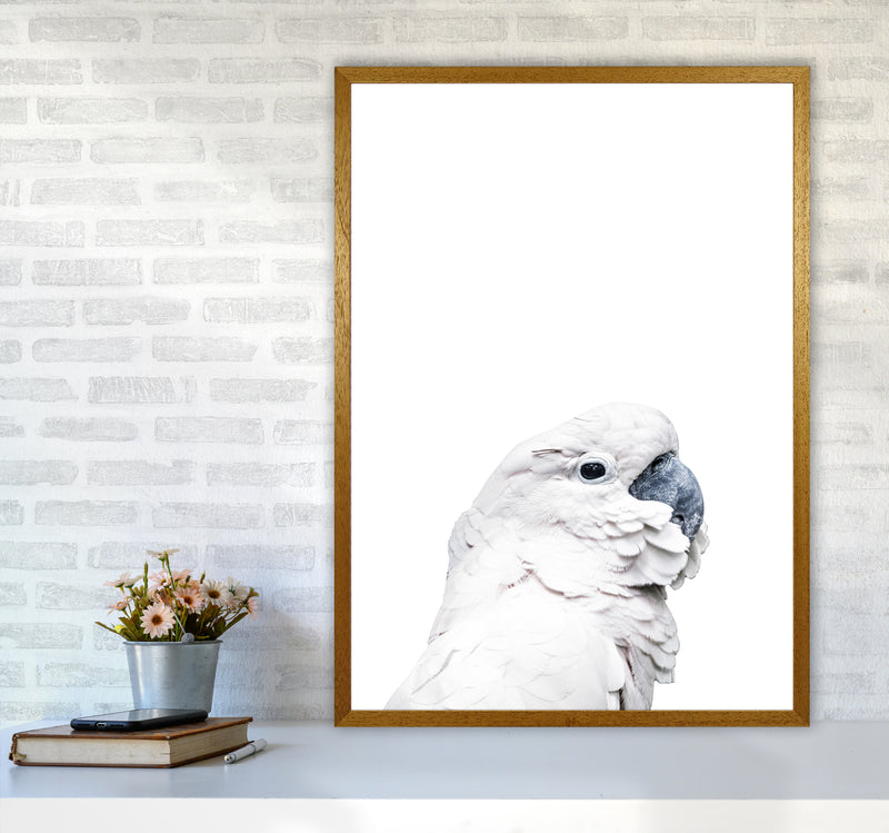 White Cockatoo Photography Print by Victoria Frost A1 Print Only