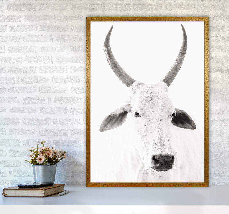 White Cow I Photography Print by Victoria Frost A1 Print Only